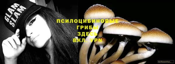 гашик Алексин