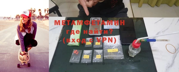 индика Аркадак