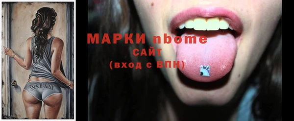 индика Аркадак