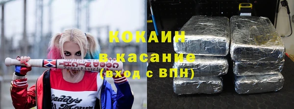 индика Аркадак
