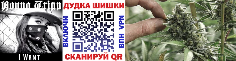 Бошки Шишки OG Kush  Купить  Карталы 